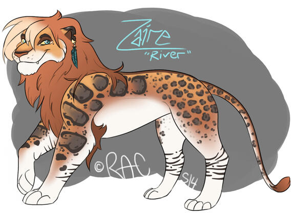 Custom Character Design