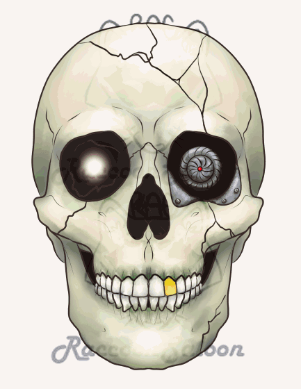 Animation